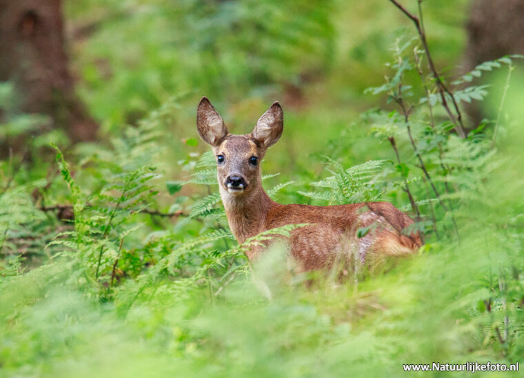 Photography workshop Hoogezand