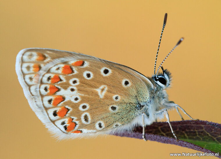 Photography workshop Beilen