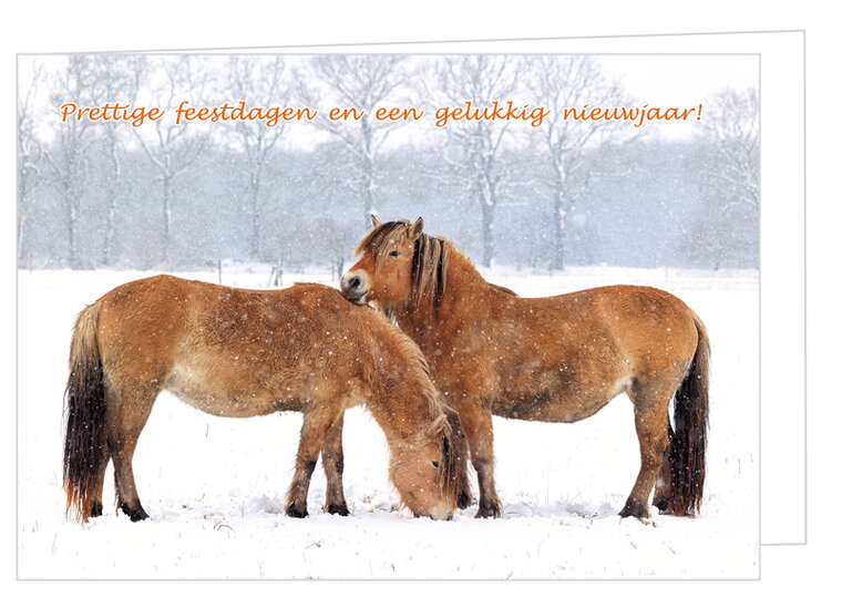 Christmas card horses