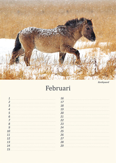 Birthday calendar animals