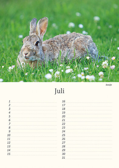 Birthday calendar animals