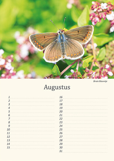 Birthday calendar animals