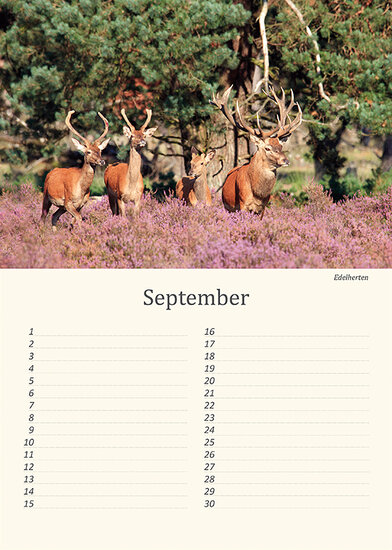 Birthday calendar animals