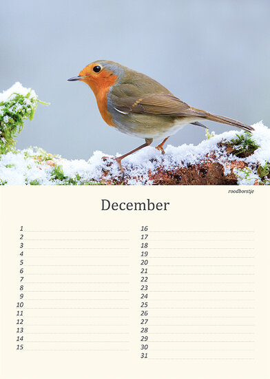 Birthday calendar animals