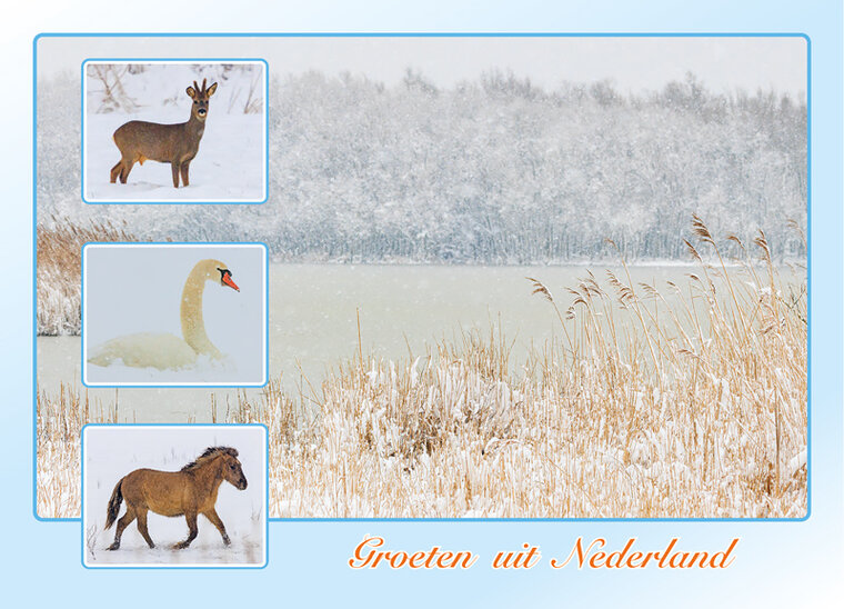 postcard groeten uit Nederland winter