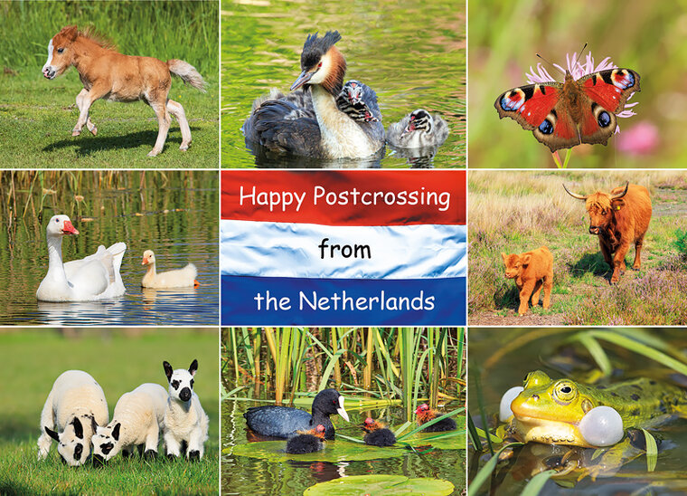 postcard Happy Postcrossing spring