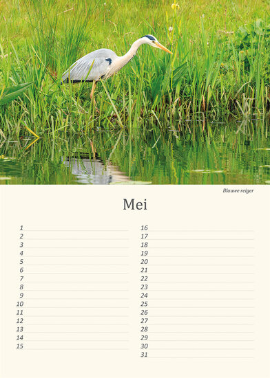 Birthday calendar birds