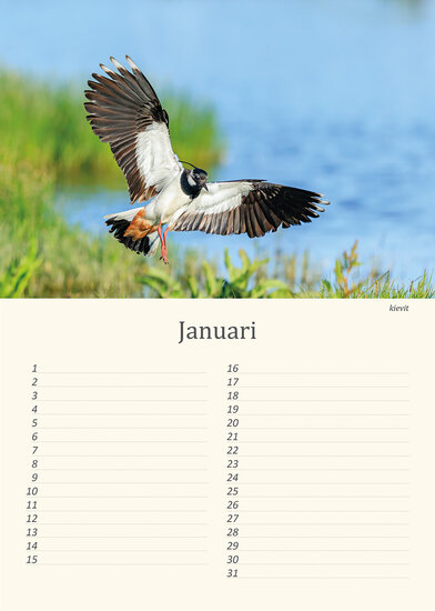 Birthday calendar birds