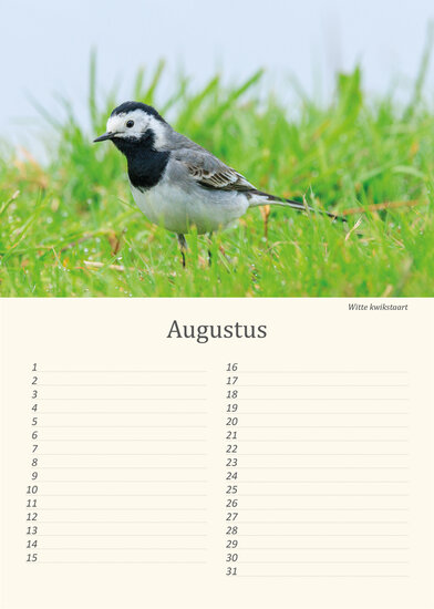 Birthday calendar birds