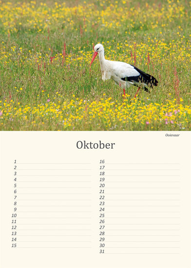 Birthday calendar birds