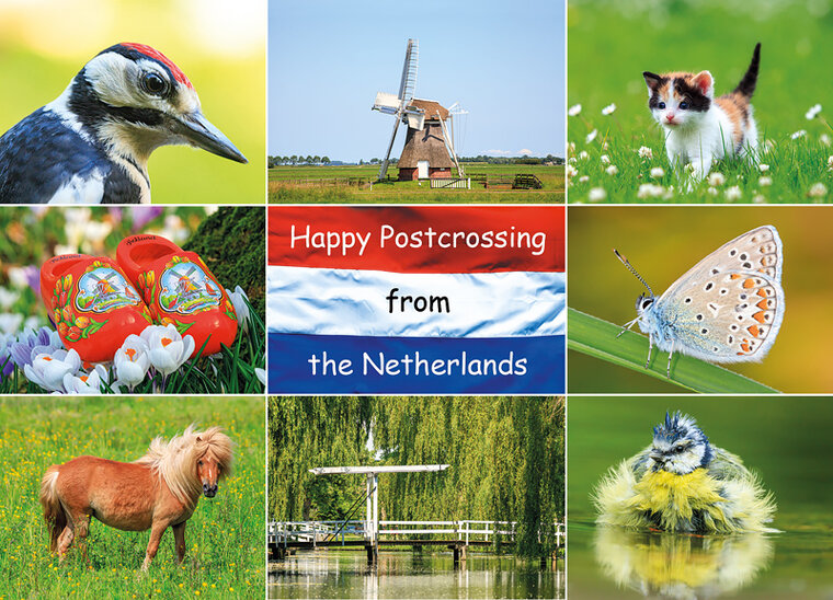 postcard Happy Postcrossing spring