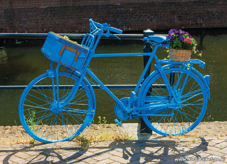 postcard bicycle with flowers