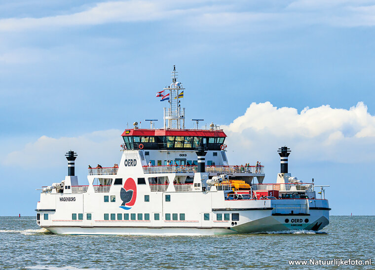 postcard Rottum ferry
