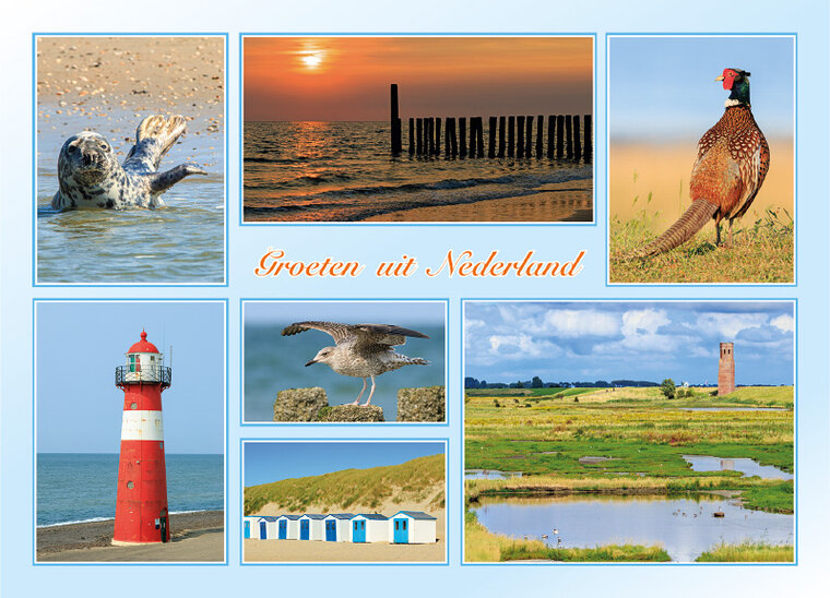 Dutch postcards set