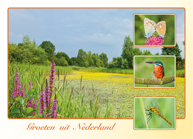 Dutch postcards set