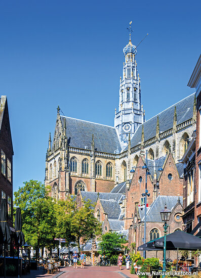 postcard Haarlem