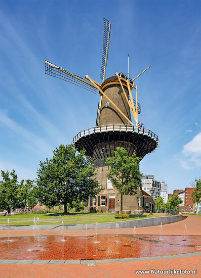 postcard windmill museum De Valk in Leiden