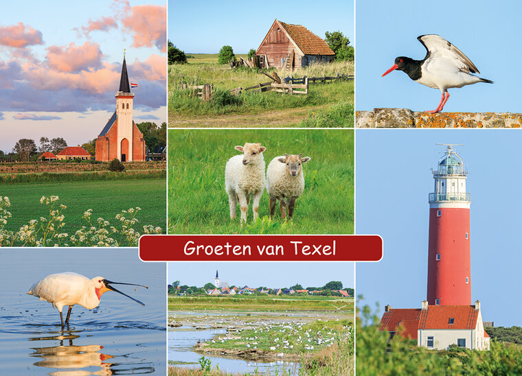 postcard groeten van Texel