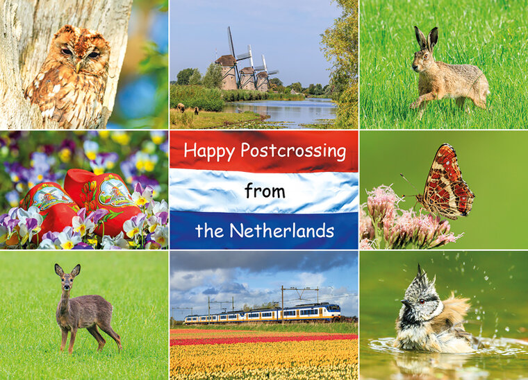 postcard Happy Postcrossing spring