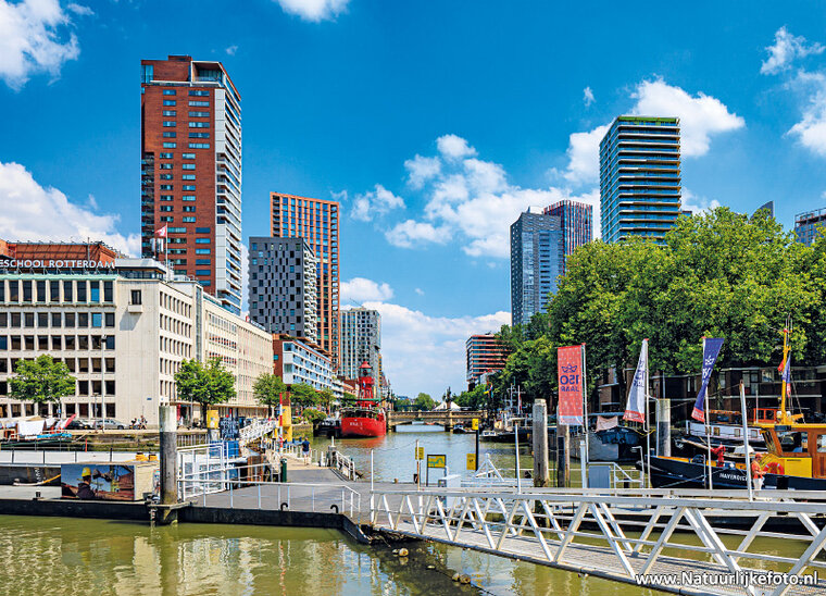 Rotterdam postcards 