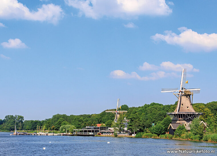 Rotterdam postcards 