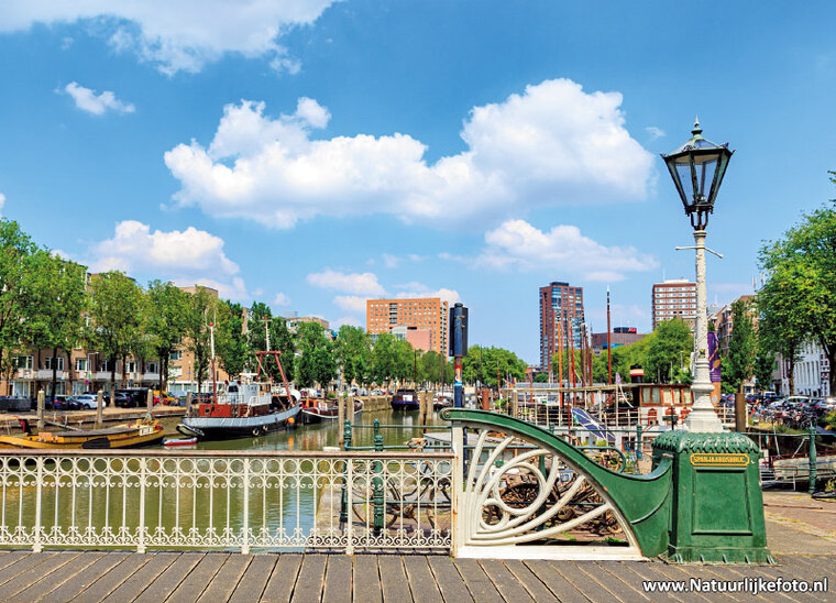 Rotterdam postcards 