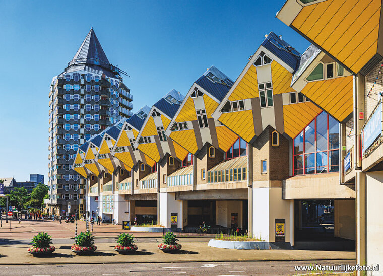 Rotterdam postcards 