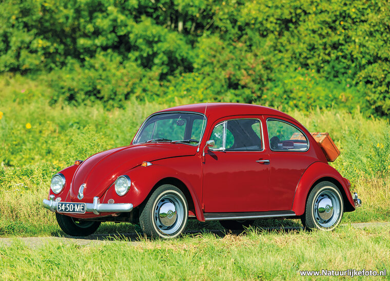 postcard Volkswagen Beetle