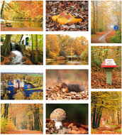 Autumn postcards - set with 11 postcards with Autumn motif (no. 108)