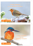 Christmas cards with birds - robin and kingfisher - folded cards with envelope (set nr. 113) Christmas cards with birds - robin and kingfisher - folded cards with envelope (set nr. 113)