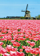 Postcard set - various images in a set (nr. 39)