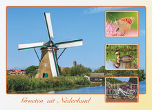 Dutch postcards set
