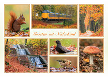 Dutch postcards set