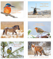 Luxury Christmas cards 2025-2026 | set of 30 folded cards with envelope (set nr. 105)