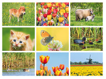 Postcard set spring - 9 postcards with spring motif (no. 103)