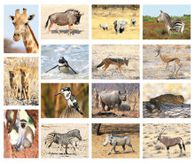 Postcard set African animals - 15 postcards with African animal motif (no. 058)