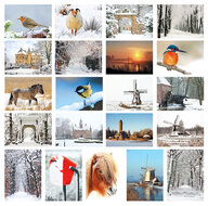 Postcard set Winter - 21 postcards with winter motif (no. 046)