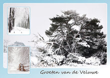Veluwe postcards