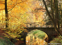 Postcard set Autumn - 15 postcards with Autumn motif (no. 020)