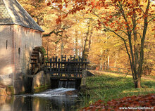 Postcard set Autumn - 15 postcards with Autumn motif (no. 020)
