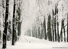 Postcard set Winter - 21 postcards with winter motif (no. 046)