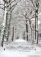 Postcard set Winter - 21 postcards with winter motif (no. 046)