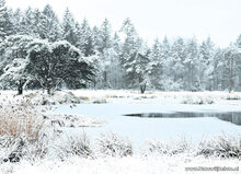 Postcard set winter - 15 postcards with a winter motif (no. 045)
