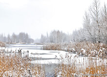 Postcard set winter - 15 postcards with a winter motif (no. 045)