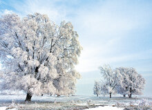 Postcard set winter - 15 postcards with a winter motif (no. 045)