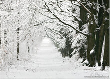 Postcard set winter - 15 postcards with a winter motif (no. 045)