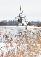 Postcard set winter - 11 postcards with winter motif (no. 117)
