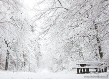 Postcard set winter - 11 postcards with winter motif (no. 117)