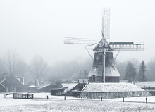 mill postcards