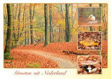 Dutch postcards set - 9 groeten uit Nederland postcards (no. 109)